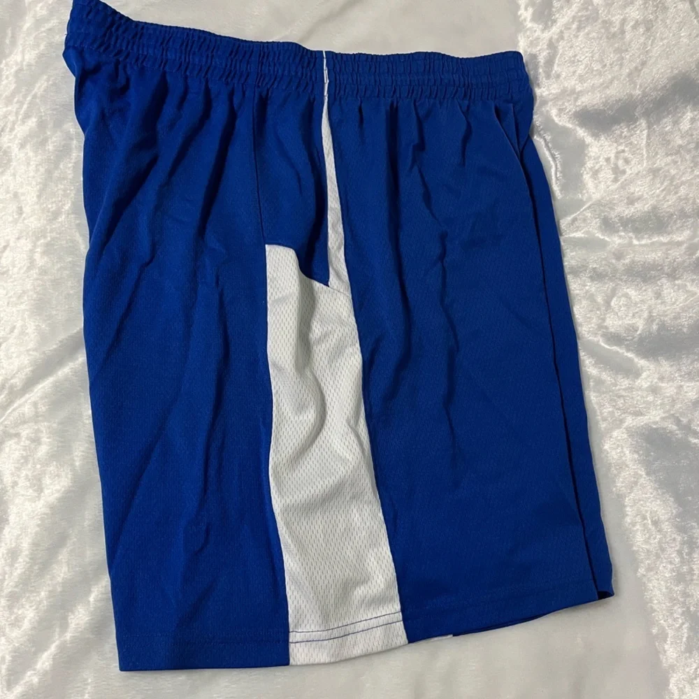 Champion Blue XL Shorts with a Viking